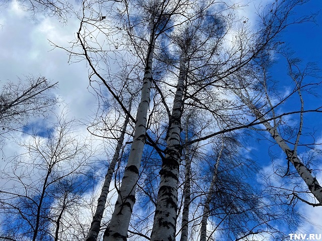 Очень сильный ветер и до +13 градусов ожидаются в Татарстане