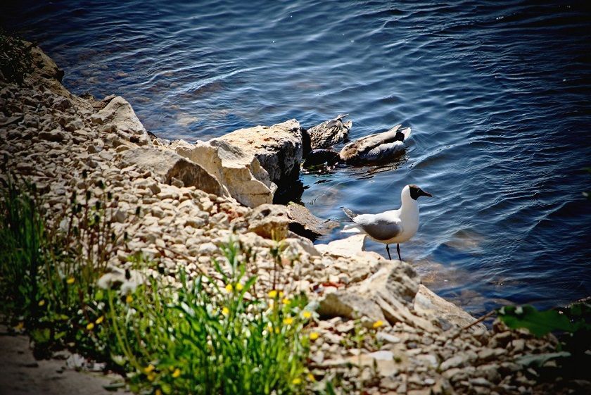 Жара набирает обороты: 21 июня воздух в Татарстане прогреется до +33 градусов