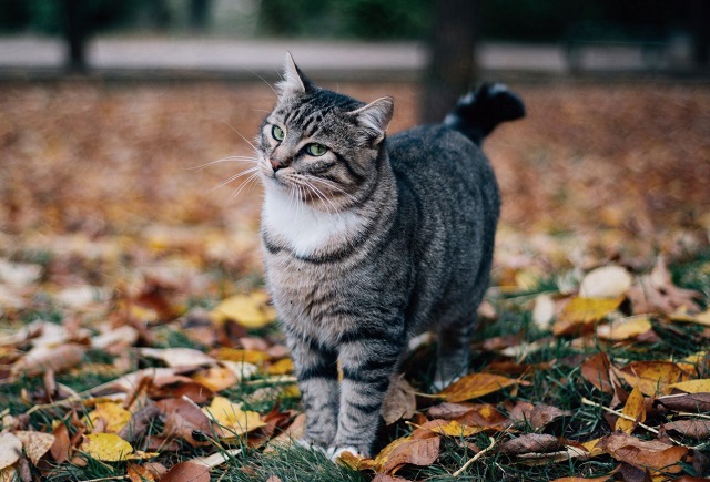 Яллар башында Татарстанда җылытачак