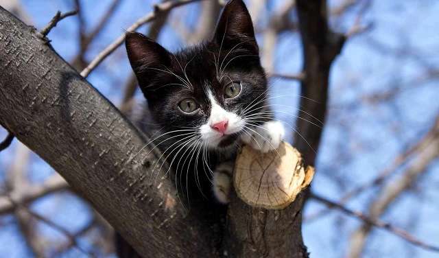 4 апрельдә Татарстанда +20 градуска кадәр җылытачак