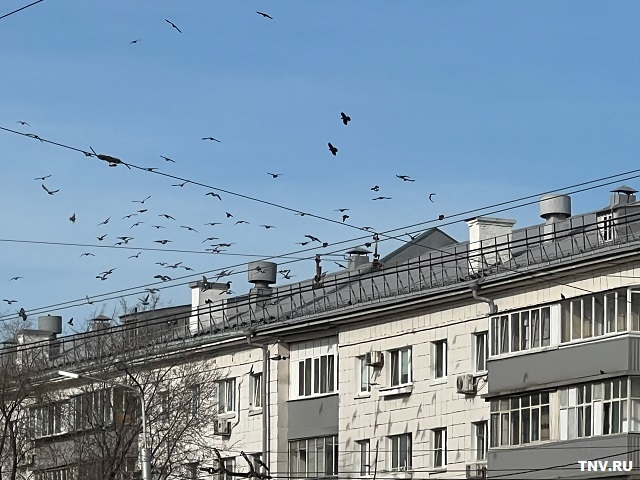 Шестой температурный рекорд этой весны зафиксировали в Казани