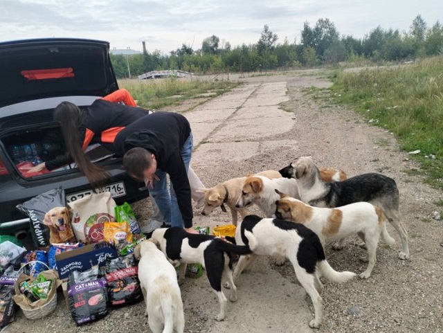 Молодожены из Агрыза на своей свадьбе провели благотворительную акцию