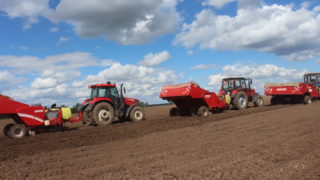 Татарстан наращивает производство картофеля в рамках нацпроекта