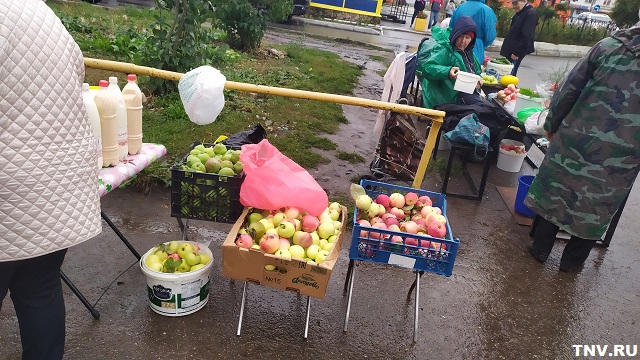 В Татарстане изъято более 17,9 тонны опасной пищевой продукции