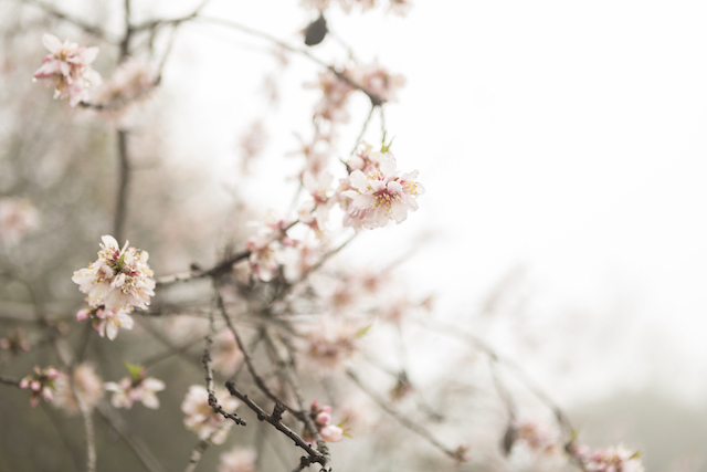 Синоптик анонсировал потепление до +21 градуса на Пасху в нескольких регионах РФ