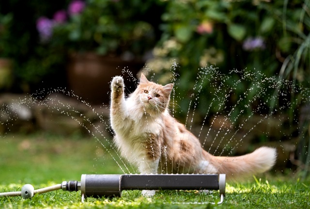 29-градусный зной и порывистый ветер накроют Татарстан в начале недели