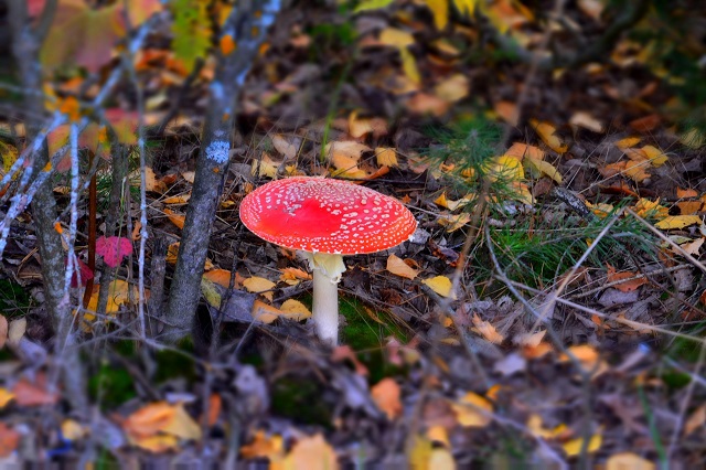 Иртәгә Татарстанда -4 градуска кадәр салкын булачак