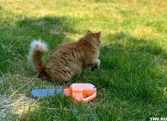 В ближайшие сутки в Татарстане похолодает до +15 градусов