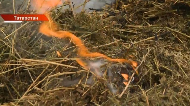Будет напряженным: пожароопасный сезон в лесах Татарстана может начаться раньше