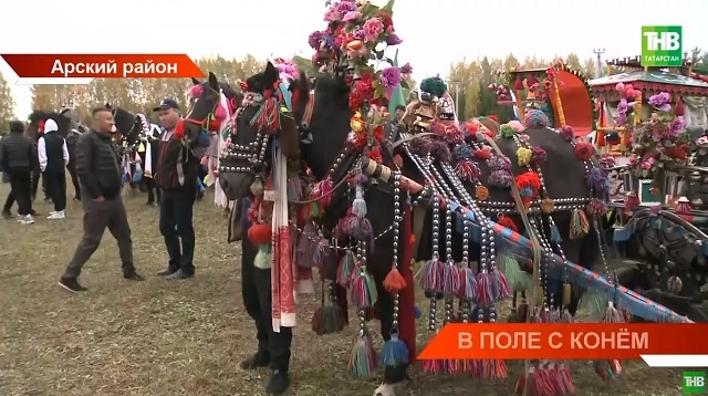 160 жеребцов, борьба на лошадях и показ мод: как отметили День коня в Арске