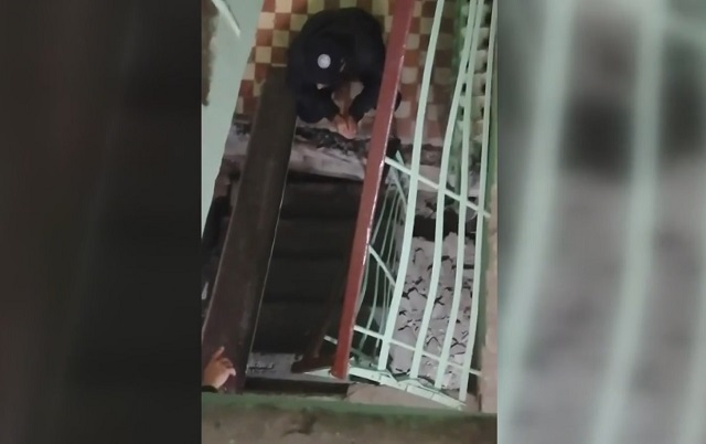 В Казани восстанавливают обрушившуюся лестницу в многоэтажке по улице Зорге