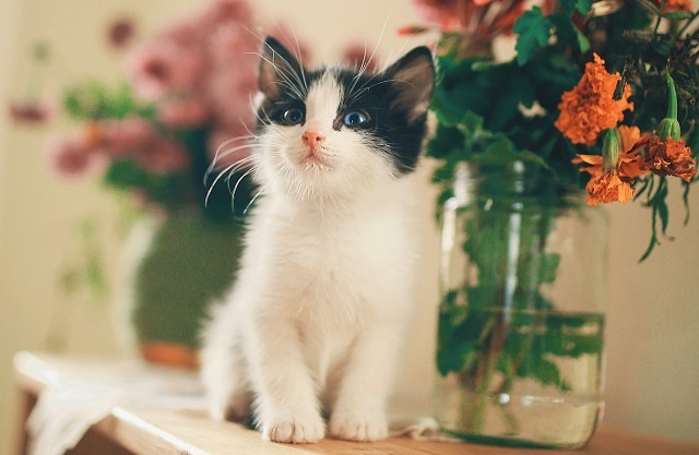 13 июль Татарстанда эссе һава саклана