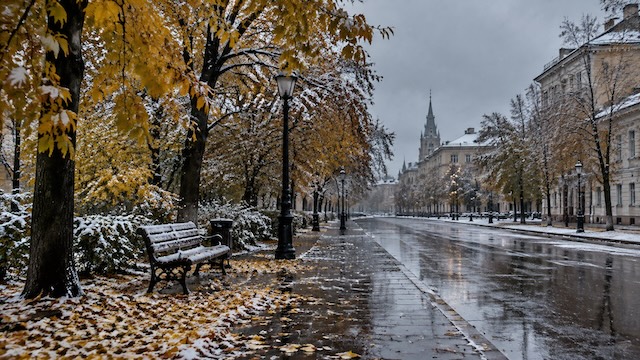 Стало известно, когда в Москве выпадет первый снег