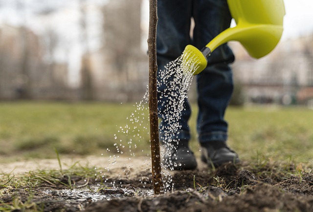 Аллею из тысячи саженцев тополя высадили в татарстанском поселке Туган Як