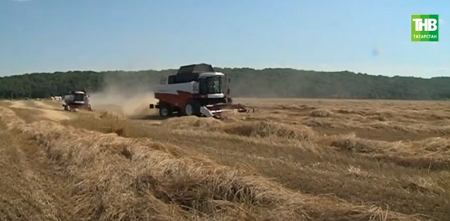 Хәерле сәгатьтә: Татарстан кырларына беренче комбайннар чыкты