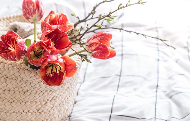 Гидрометцентр пообещал «погодный подарок» 8 Марта в трех округах РФ