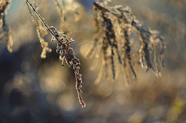 Татарстанда суыклар белән бергә томан да төшәчәк