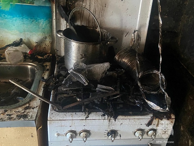 Копчение сала жительницей Татарстана в частном доме закончилось пожаром