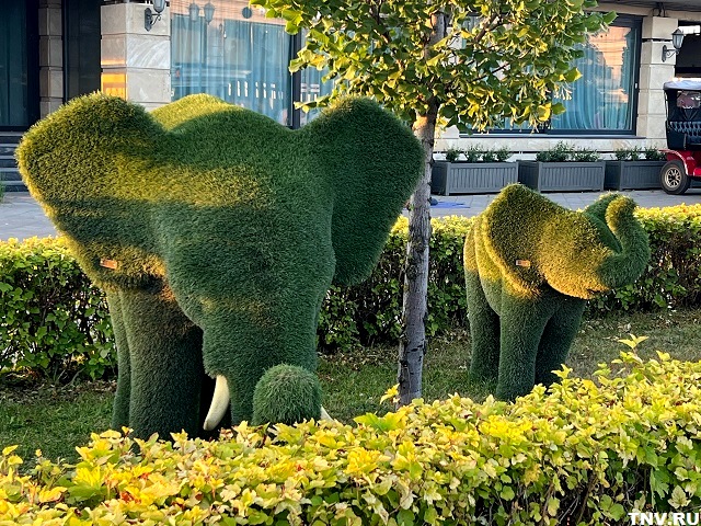 Прохлада и сильный ветер: погода выходных в Татарстане