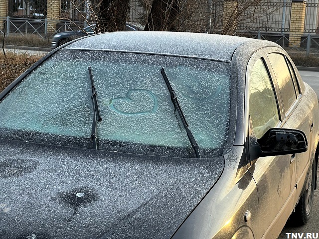 Синоптик объяснил, когда установится предзимье в Татарстане