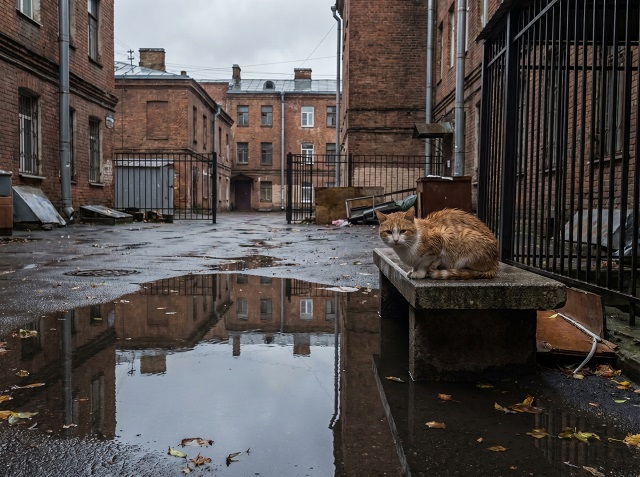 В Татарстан идёт волна холода со снегом и гололедицей