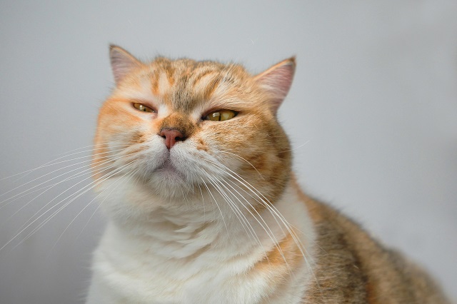 Похолодание до -5 градусов ждет Татарстан в ближайшие сутки