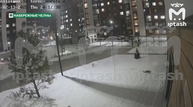 Котят экс-жены выбросил в окно лютый ревнивец из Набережных Челнов