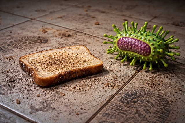 «Правило пяти секунд» не работает: татарстанцам развенчали миф о безопасности упавшей еды