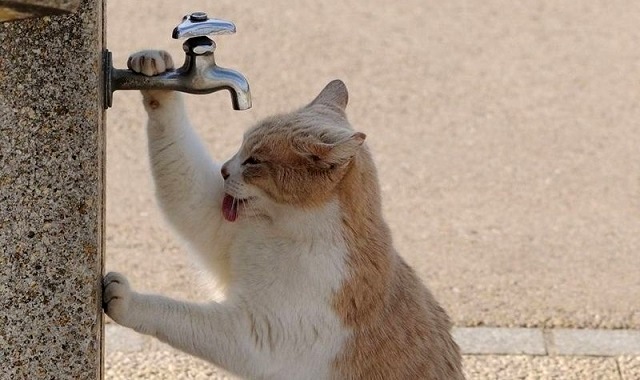 2 сентябрь Татарстанда яңгырлар көтелә