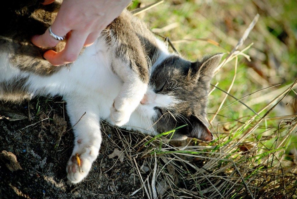 Жаркие дни: 23 июня в Татарстане столбики термометров взлетят к отметке +36