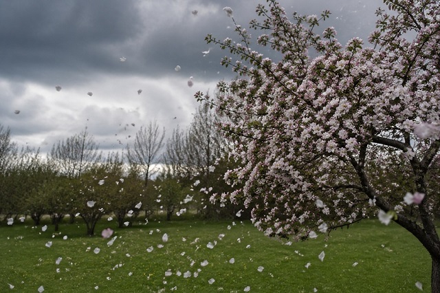 Прогноз на Первомай в Татарстане озвучили в Гидрометцентре