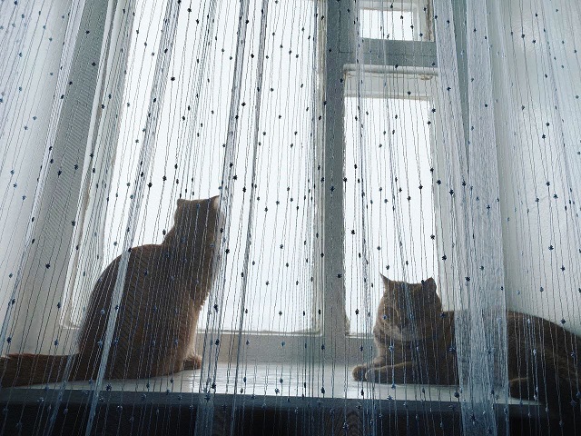 14 гыйнварда Татарстанда -9 градуска кадәр җылыта