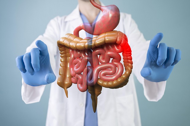 Гастроэнтеролог Помойнецкая назвала главную причину развития панкреатита