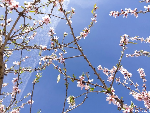 Вильфанд спрогнозировал жару под +30 градусов в Сибири