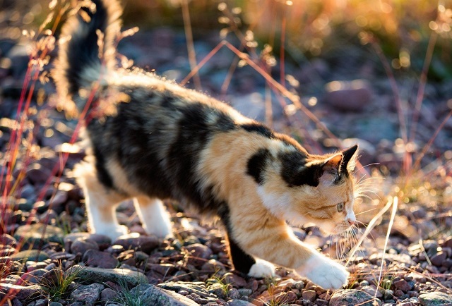 Шестой с начала весны температурный рекорд зарегистрировали в Казани 5 апреля