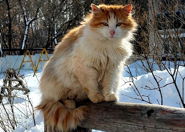 1 апреля в Татарстане воздух прогреется до +3 градусов