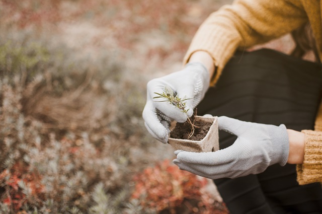 В Татарстане по нацпроекту заготовили около 13 тонн семян