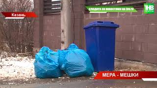 Мешочный сбор мусора спасет поселки Казани от свалок и бродячих собак?