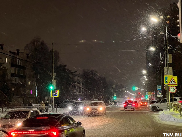 В КФУ назвали скрытые угрозы и неожиданные выгоды от бесснежной зимы