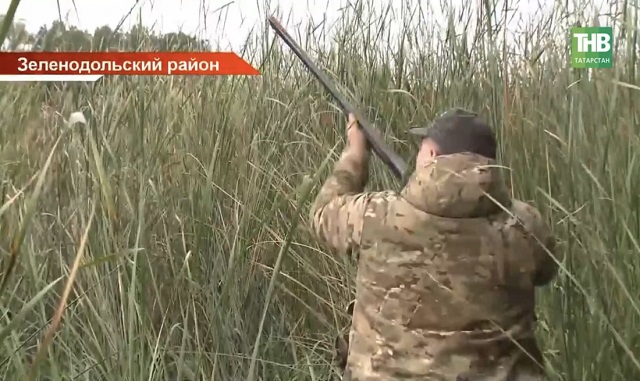 Сурок-байбак, заяц и лось: в Татарстане назвали самых популярных зверей для охоты