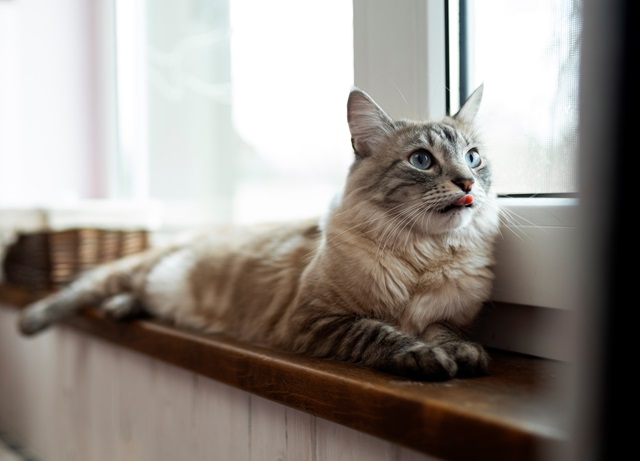 19-градусным морозом встретит Татарстан предпоследнюю неделю зимы