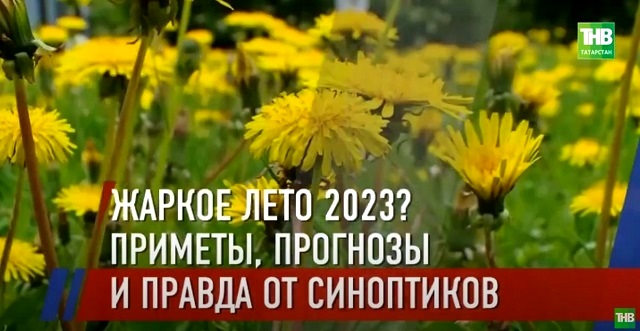 Правда от синоптиков: будет ли лето-2023 самым жарким за последние 150 лет