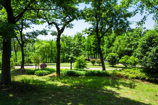 В парках Казани появятся особо охраняемые природные территории