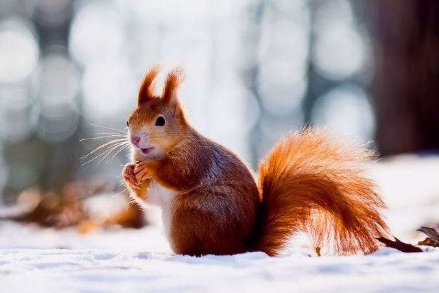 Татарстан ждет короткое потепление