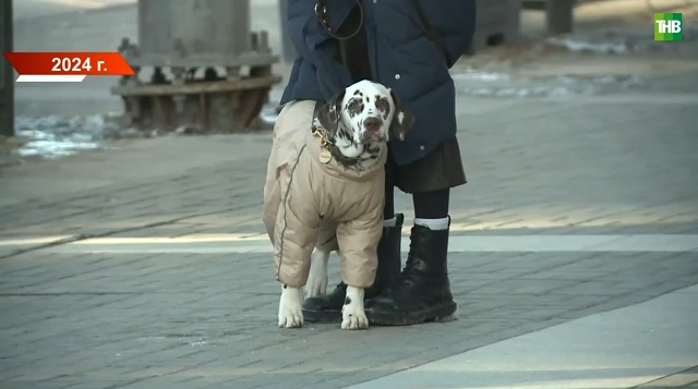 Аномальное тепло становится нормой: прогноз на зиму дал Гидрометцентр РФ