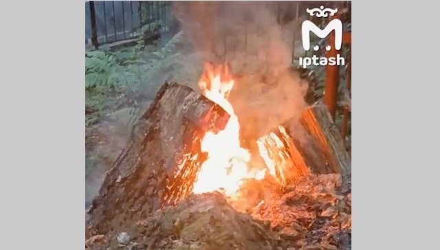 Устроенный неизвестными пожар на Арском кладбище в Казани раскинулся на 90 «квадратов»