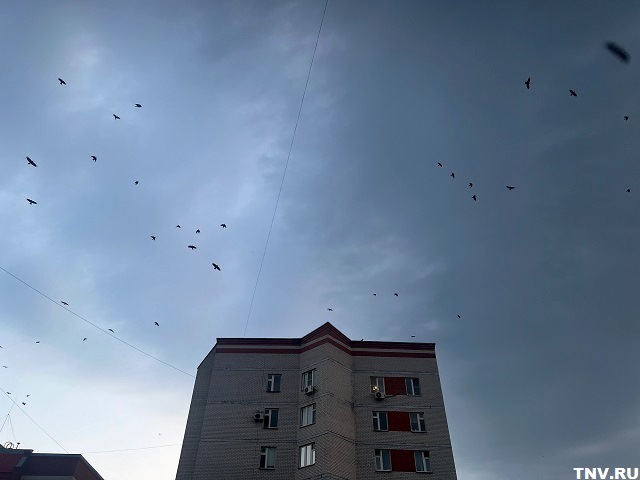 Град и ветер до 21 м/с обрушатся на Татарстан в ближайшие сутки