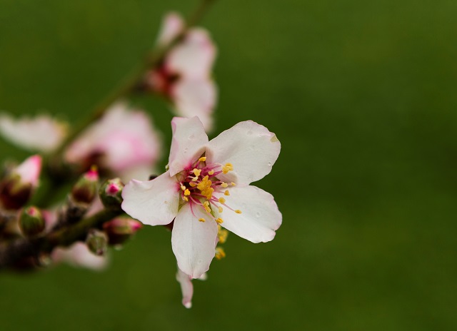 Экстремальное июньское тепло до +25 градусов накроет Россию на этой неделе