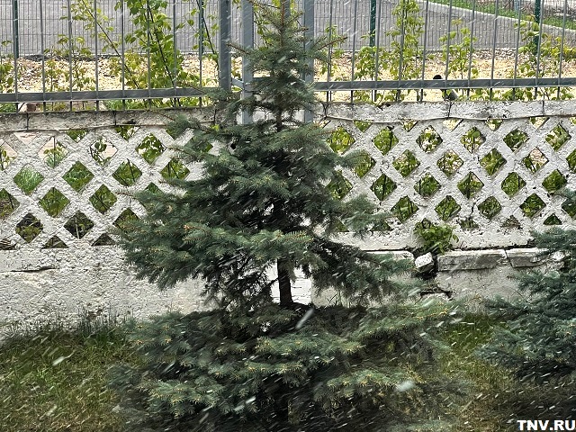 Татарстанцев предупредили об ухудшении метеоусловий