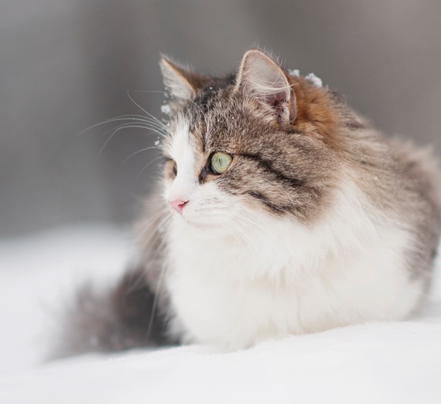 Снежные сюрпризы в сочетании с «минусом» накроют Татарстан в конце выходных